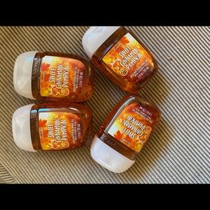 Sweet cinnamon pumpkin pocket bac pack